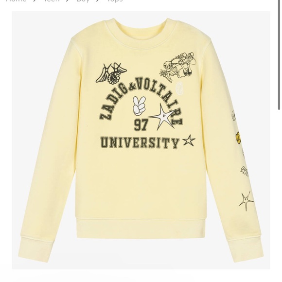 ZADIG & VOLTAIRE BUTTER YELLOW COTTON VARSITY SWEATSHIRT - Picture 1 of 9